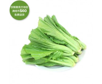 【疫情蔬果专区】芥菜 500克【请单独下单,不要和其它专区商品混搭】 【疫情蔬果专区】芥菜 500克【请单独下单,不要和其它专区商品混搭】